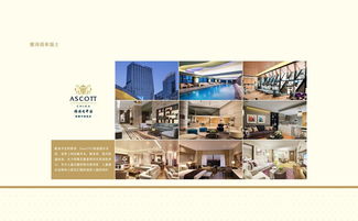 四川新視野酒店攜手艾迪塞斯設(shè)計(jì) 以專(zhuān)業(yè)管理賦能酒店行業(yè)新篇章