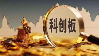 科創(chuàng)板受理企業(yè)增至62家，互聯(lián)網(wǎng)銷(xiāo)售領(lǐng)域迎來(lái)馬云、雷軍、王思聰?shù)韧顿Y大佬
